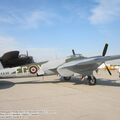 DH98_FB26_Mosquito_0001.jpg