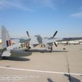 DH98_FB26_Mosquito_0002.jpg