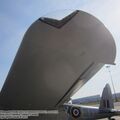 DH98_FB26_Mosquito_0020.jpg