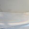 DH98_FB26_Mosquito_0028.jpg
