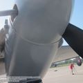 DH98_FB26_Mosquito_0036.jpg