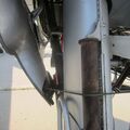 DH98_FB26_Mosquito_0045.jpg