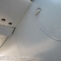 DH98_FB26_Mosquito_0129.jpg