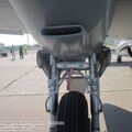 DH98_FB26_Mosquito_0134.jpg