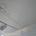 DH98_FB26_Mosquito_0145.jpg