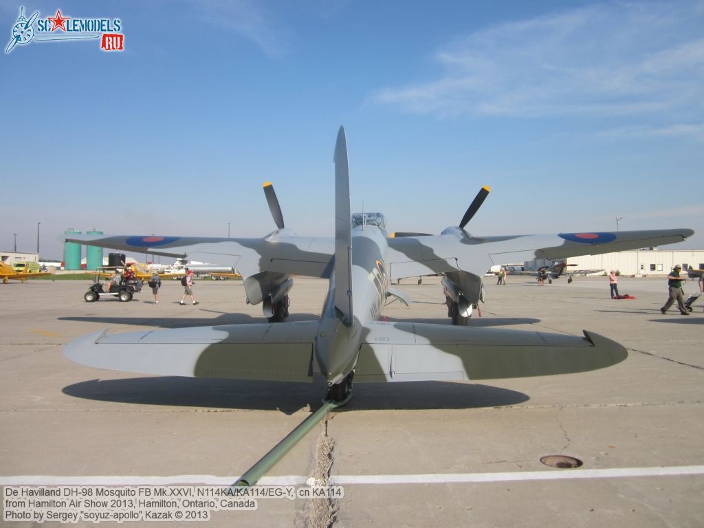 DH98_FB26_Mosquito_0003.jpg