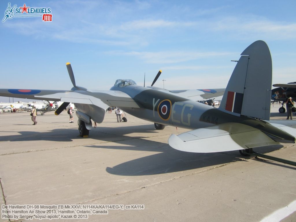 DH98_FB26_Mosquito_0004.jpg