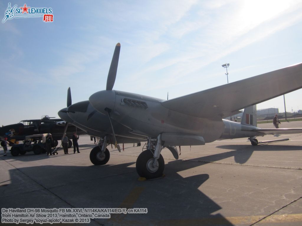 DH98_FB26_Mosquito_0007.jpg