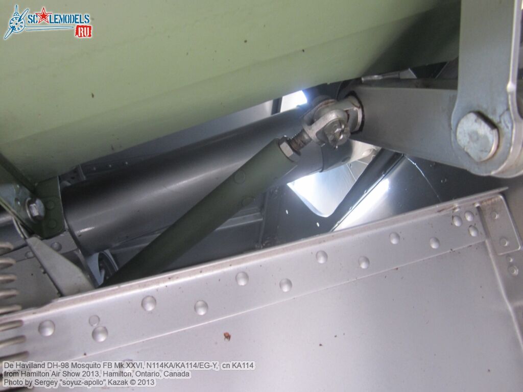 DH98_FB26_Mosquito_0063.jpg