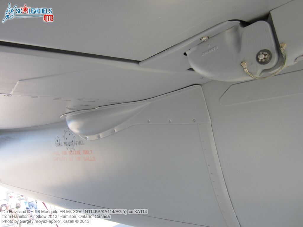 DH98_FB26_Mosquito_0070.jpg