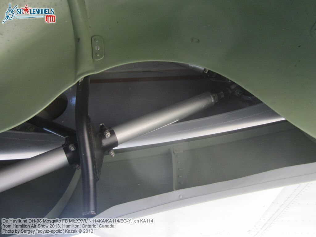 DH98_FB26_Mosquito_0091.jpg