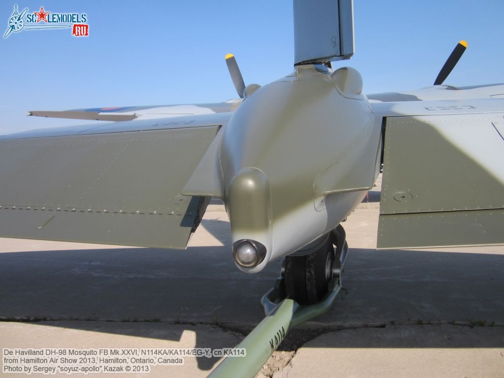 DH98_FB26_Mosquito_0102.jpg