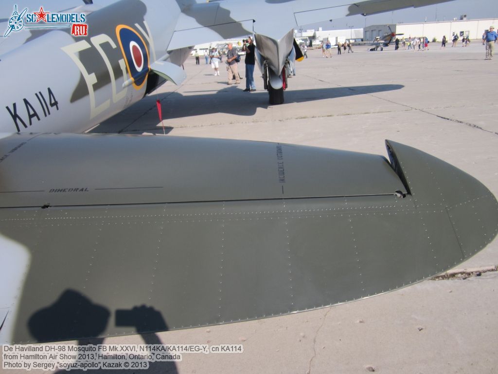 DH98_FB26_Mosquito_0105.jpg