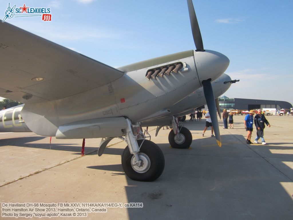 DH98_FB26_Mosquito_0141.jpg