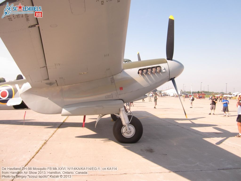 DH98_FB26_Mosquito_0150.jpg