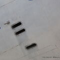 IMG_5178.JPG