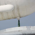 IMG_5274.JPG