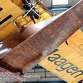 mg217.jpg