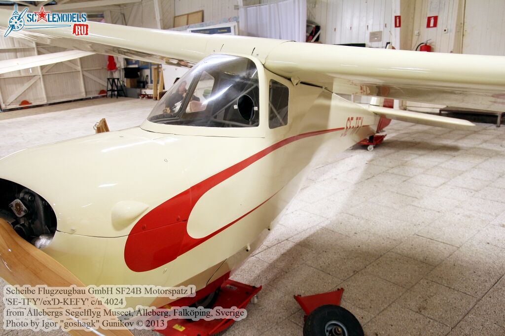 gldr555.jpg