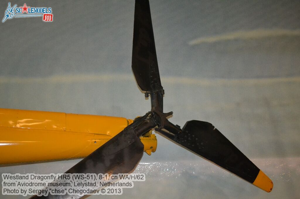 Westland_Dragonfly_0016.jpg