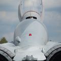 MiG-29SMT_0181.jpg