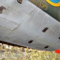 Bull14.jpg
