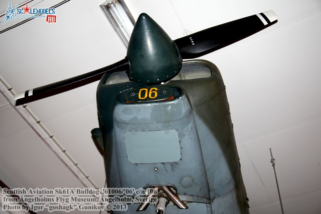 Bull16.jpg