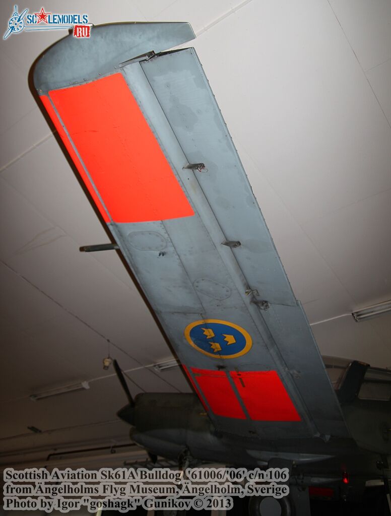 Bull11.jpg
