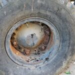 IMG_9234