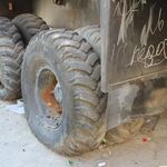 IMG_9244