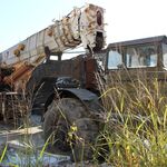 IMG_9589