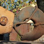 IMG_9645