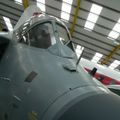 harrier_0003.jpg