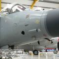 harrier_0006.jpg