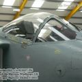 harrier_0008.jpg