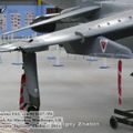 harrier_0009.jpg