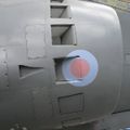 harrier_0014.jpg