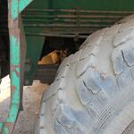 IMG_9996