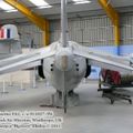 harrier_0024.jpg