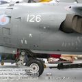 harrier_0029.jpg