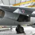 harrier_0030.jpg