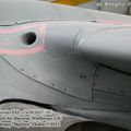 harrier_0036.jpg