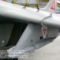 harrier_0045.jpg