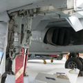 harrier_0055.jpg