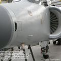 harrier_0062.jpg