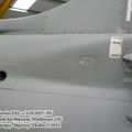 harrier_0063.jpg