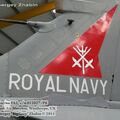 harrier_0068.jpg