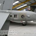 harrier_0071.jpg