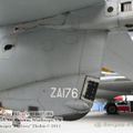 harrier_0072.jpg