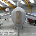 harrier_0075.jpg